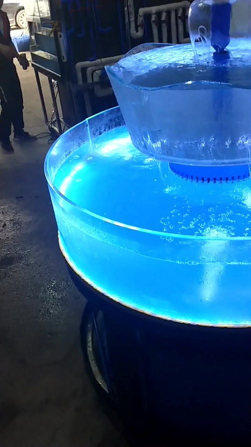 海缸活性炭的正确使用方法