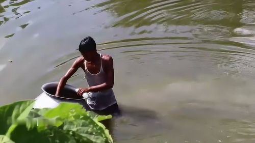 养鱼水的活性炭怎么使用方法