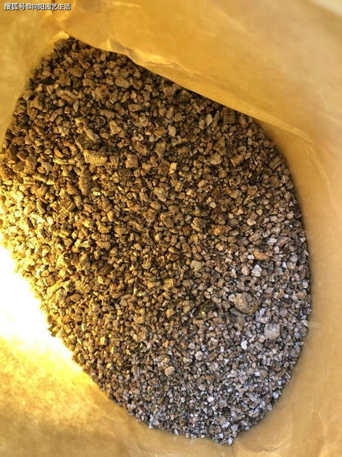 用完的活性炭可以用来养花吗