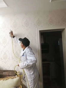 家用活性炭什么品牌好