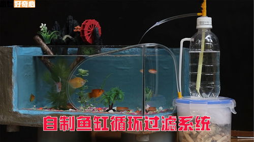 用活性炭过滤鱼缸