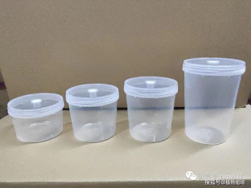 组织培养用活性炭
