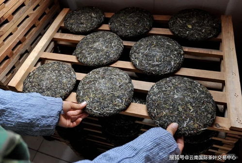 普洱茶叶的储存方法和条件