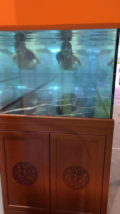鱼缸为什么不建议放活性炭