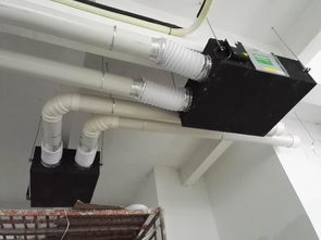 活性炭和喷雾哪个除甲醛好