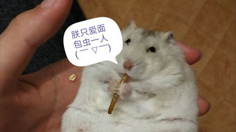 活性炭能长期放在鱼缸里吗