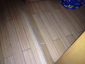 铺地板下面要放活性炭吗