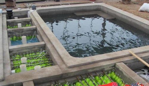 鱼池用活性炭过滤