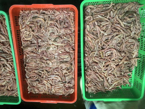 工业用活性炭生产厂家