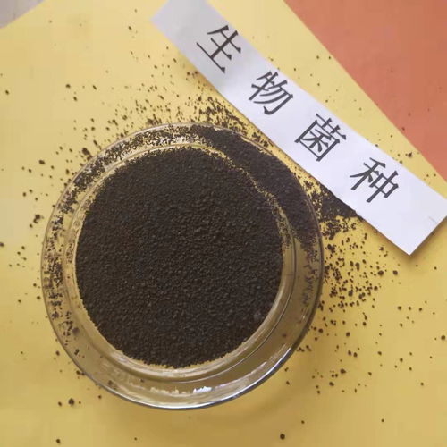 活性炭吸附COD不降反升