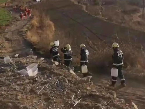 偷盗原油一般是定什么罪