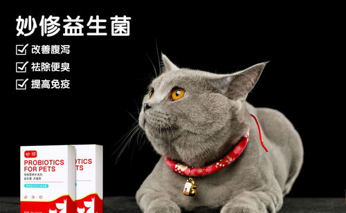 活性炭可以放猫砂里吗