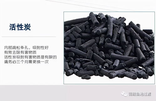 过滤器陶瓷好还是活性炭好