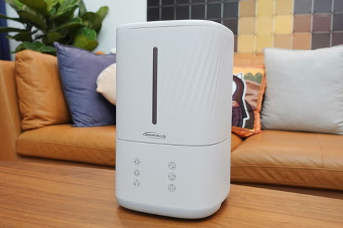 活性炭有防潮除湿的效果吗