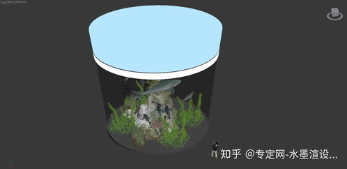 鱼缸养水一天可以用吗