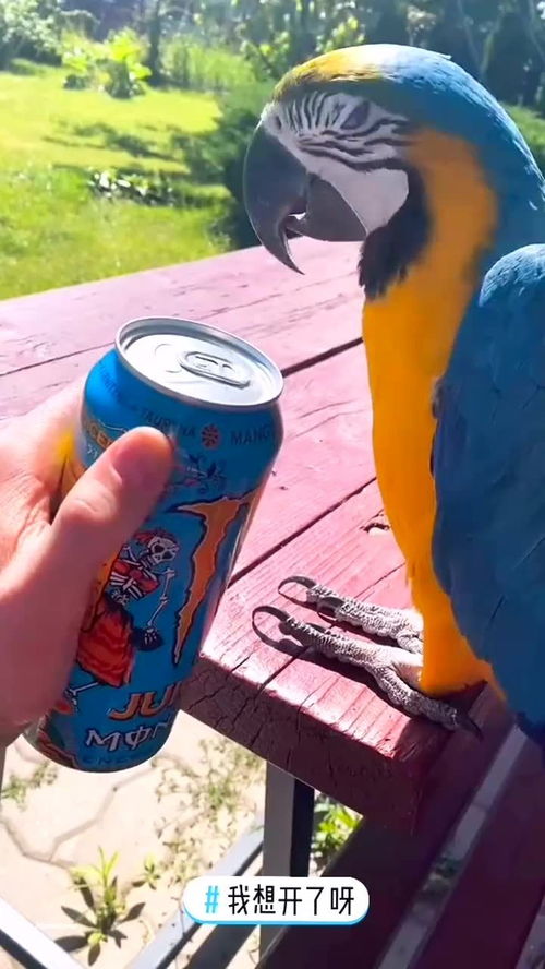 放了活性炭半个月能用吗