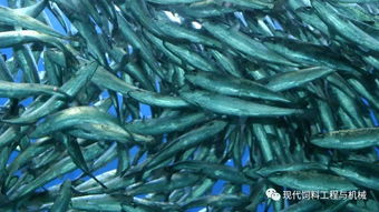 海水养殖专用活性炭有哪些