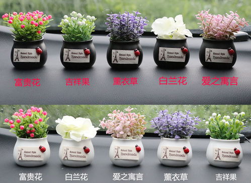 活性炭什么时候放最好