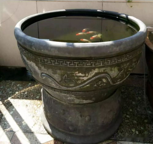 古法养鱼用活性炭吗