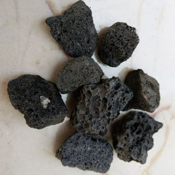 用活性炭培养硝化菌