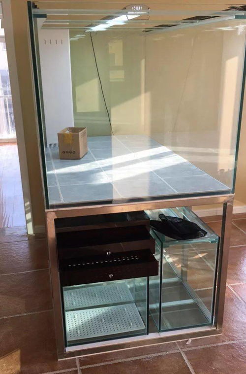 活性炭能净化鱼缸水吗