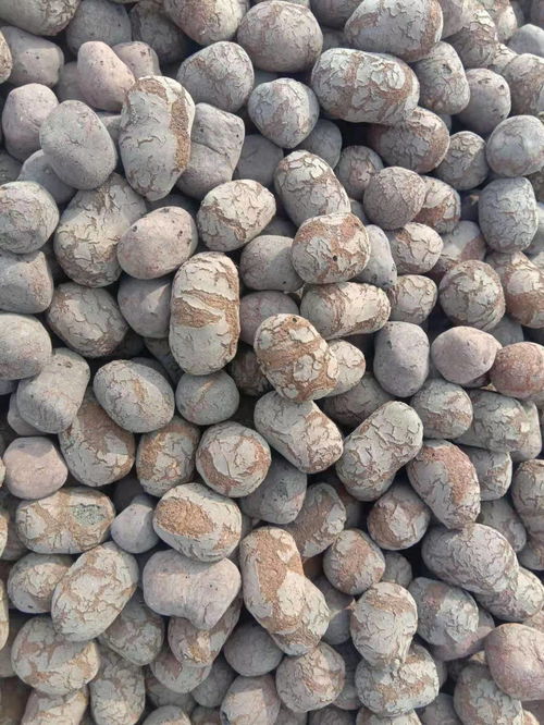 鱼缸铺沙子好还是陶粒好