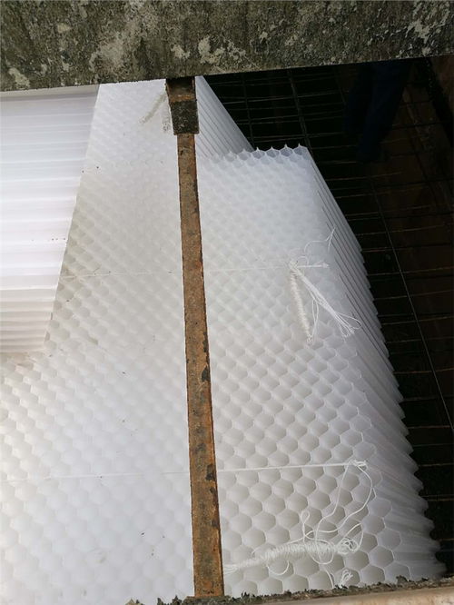 电厂用活性炭价格多少