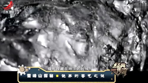 活性炭的正确使用方法