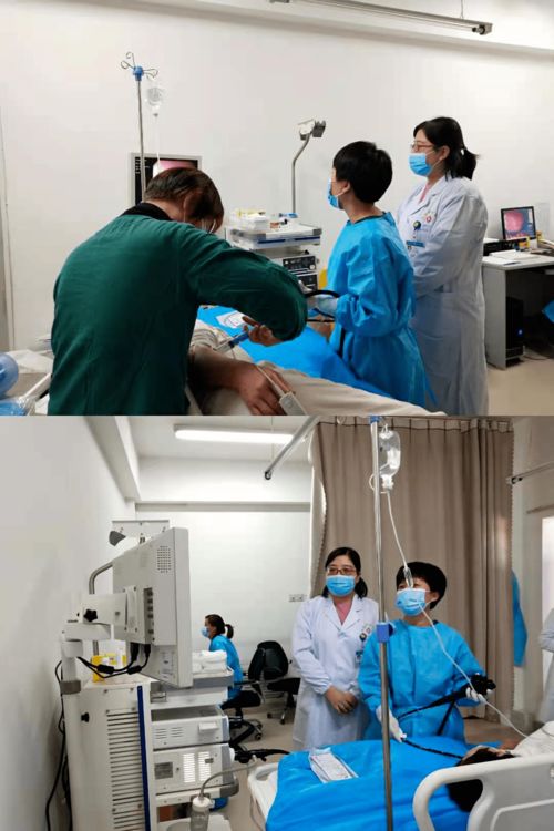 医用活性炭药片肠道