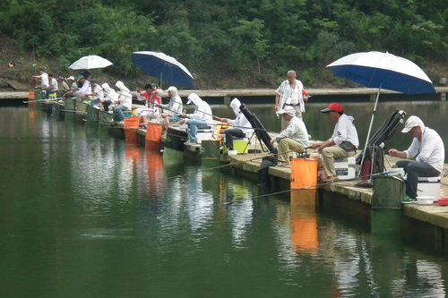 黑坑钓场用活性炭