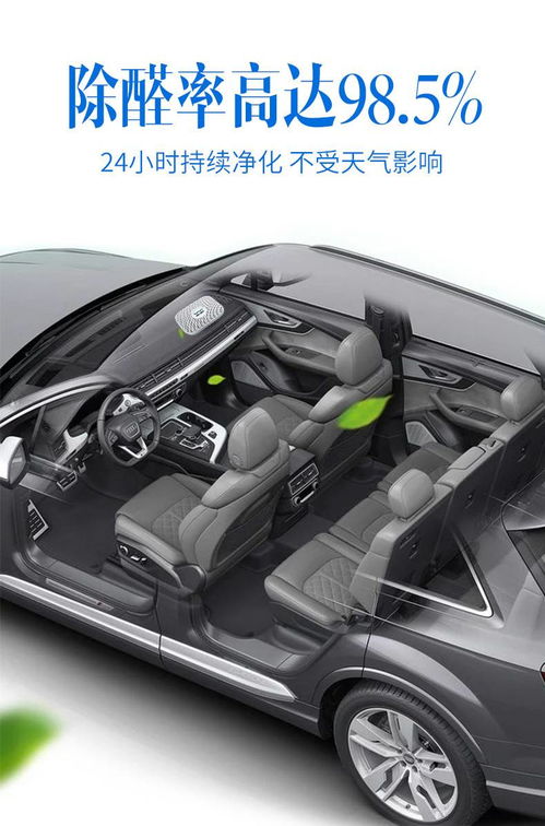 活性炭能去除车内味道吗