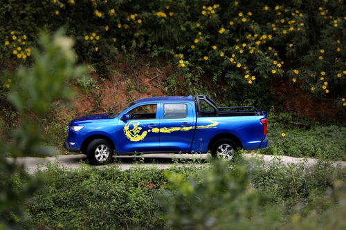 新车放竹炭包还是活性炭好