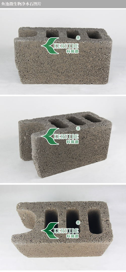 鱼池活性炭放在哪一层过滤