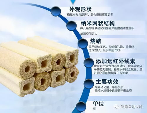 怎么使用活性炭净化鱼塘