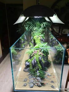 活性炭能培养硝化细菌吗