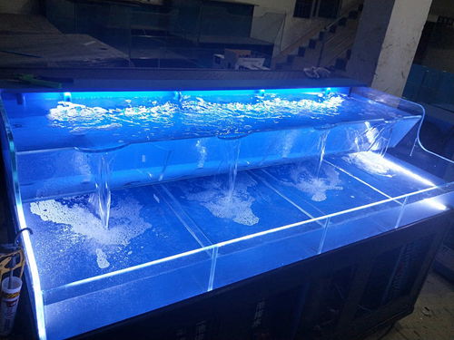 海鲜池消毒要几天比较好