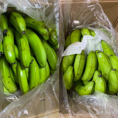 活性炭和生物炭的区别