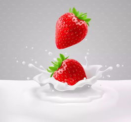活性炭可以做什么实验