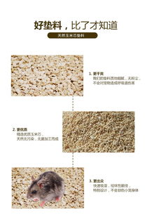 有什么品种的兔子不臭