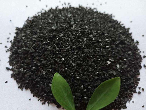 活性炭碰水后还有用吗