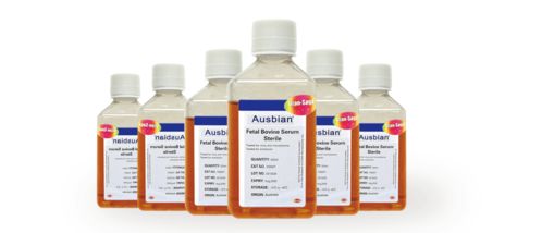 活性炭吸附实验结论与分析