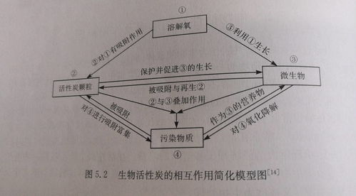 民用活性炭作用原理