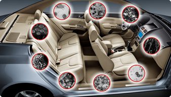 车上用的活性炭会过期吗