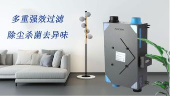 活性炭怎么使用才能有效的除甲醛