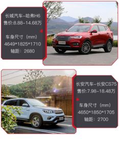 新车用活性炭哪个好