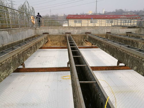 福建元力活性炭股份有限公司