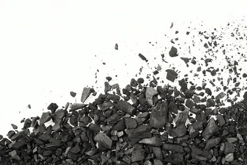 酒用活性炭建议用量