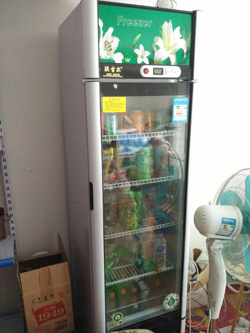 通电冰箱可以放活性炭吗