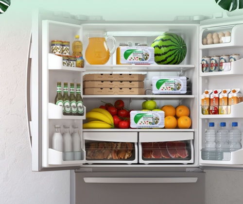 冰箱用活性炭除异味