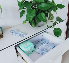 利用了活性炭的什么性质